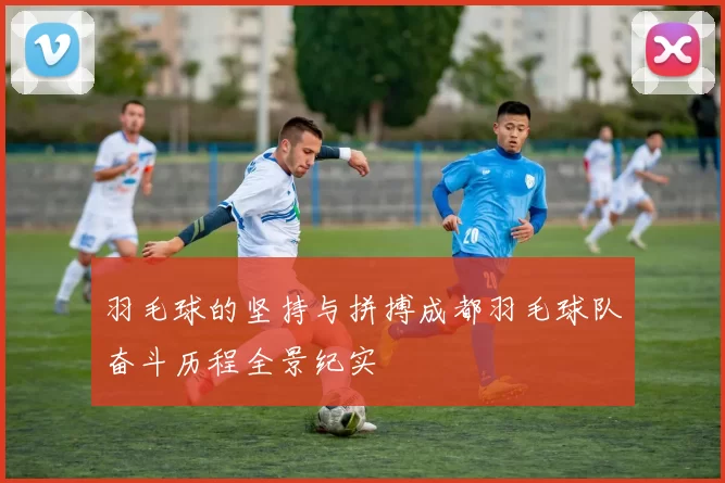 羽毛球的坚持与拼搏成都羽毛球队奋斗历程全景纪实
