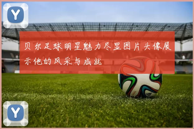 贝尔足球明星魅力尽显图片头像展示他的风采与成就