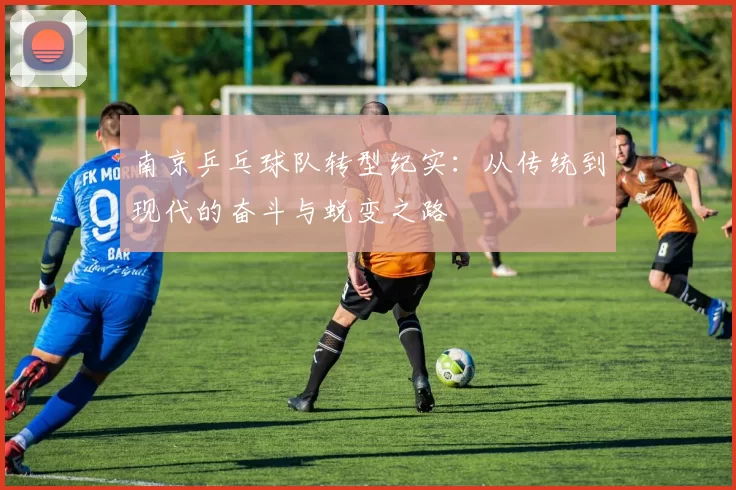 南京乒乓球队转型纪实：从传统到现代的奋斗与蜕变之路