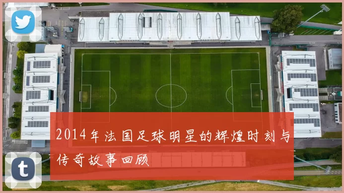 2014年法国足球明星的辉煌时刻与传奇故事回顾