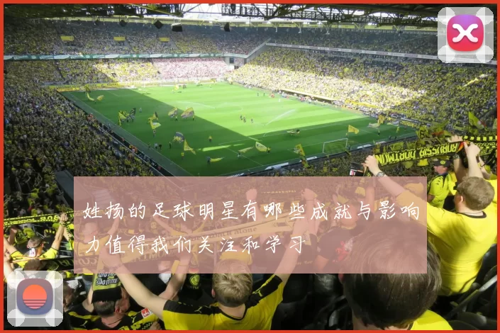 姓扬的足球明星有哪些成就与影响力值得我们关注和学习