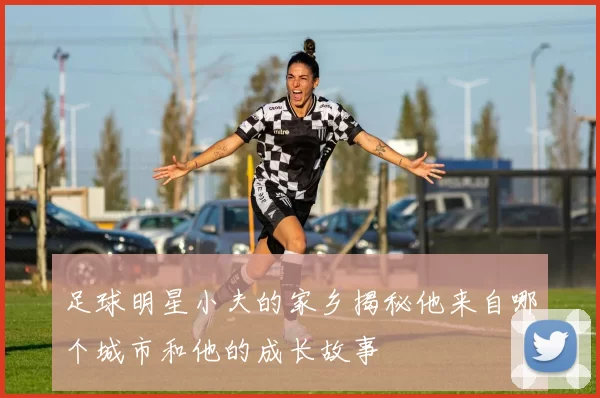足球明星小夫的家乡揭秘他来自哪个城市和他的成长故事