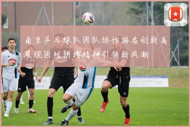 南京乒乓球队团队协作排名创新高展现团结拼搏精神引领新风潮
