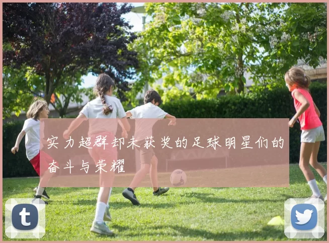 实力超群却未获奖的足球明星们的奋斗与荣耀
