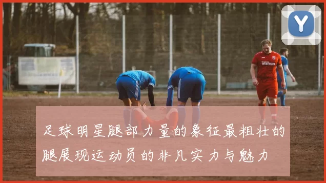 足球明星腿部力量的象征最粗壮的腿展现运动员的非凡实力与魅力
