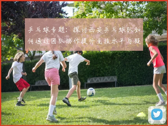 乒乓球专题：探讨西安乒乓球队如何通过团队协作提升竞技水平与凝聚力