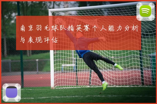 南京羽毛球队精英赛个人能力分析与表现评估