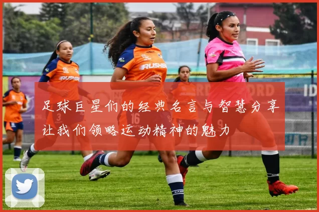 足球巨星们的经典名言与智慧分享让我们领略运动精神的魅力