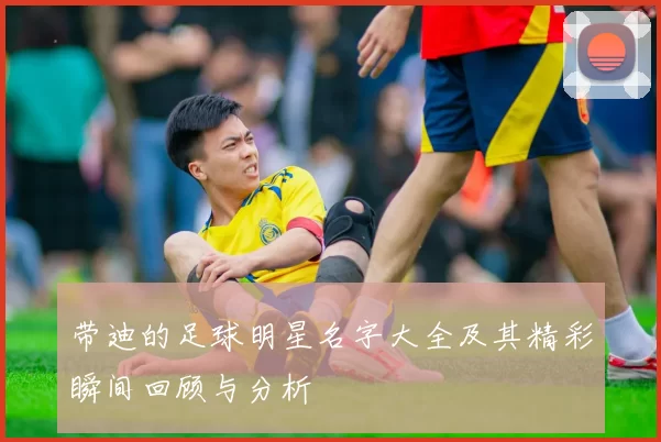 带迪的足球明星名字大全及其精彩瞬间回顾与分析